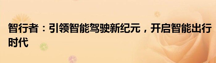智行者：引领智能驾驶新纪元，开启智能出行时代