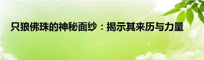 只狼佛珠的神秘面纱：揭示其来历与力量