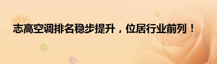 志高空调排名稳步提升，位居行业前列！