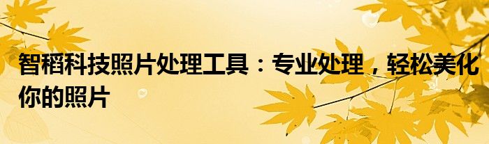 智稻科技照片处理工具：专业处理，轻松美化你的照片