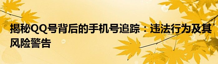 揭秘QQ号背后的手机号追踪：违法行为及其风险警告