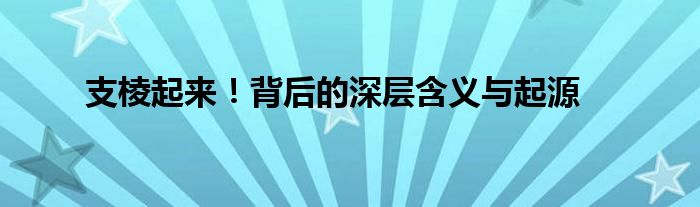支棱起来！背后的深层含义与起源