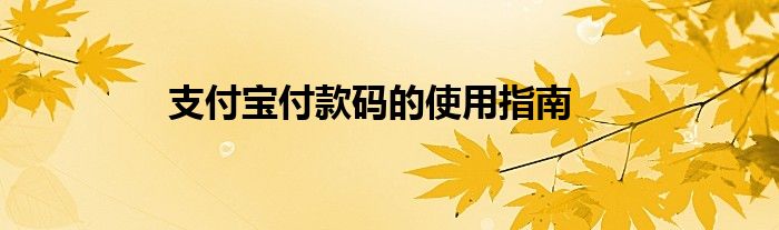 支付宝付款码的使用指南