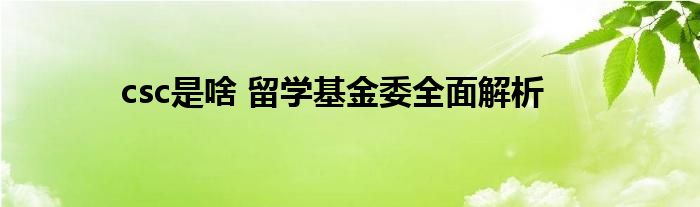 csc是啥 留学基金委全面解析