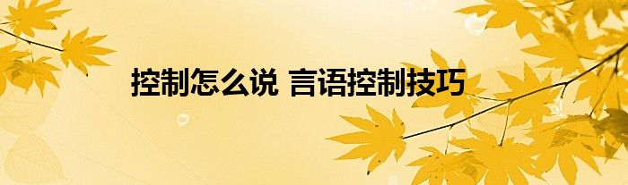 控制怎么说 言语控制技巧